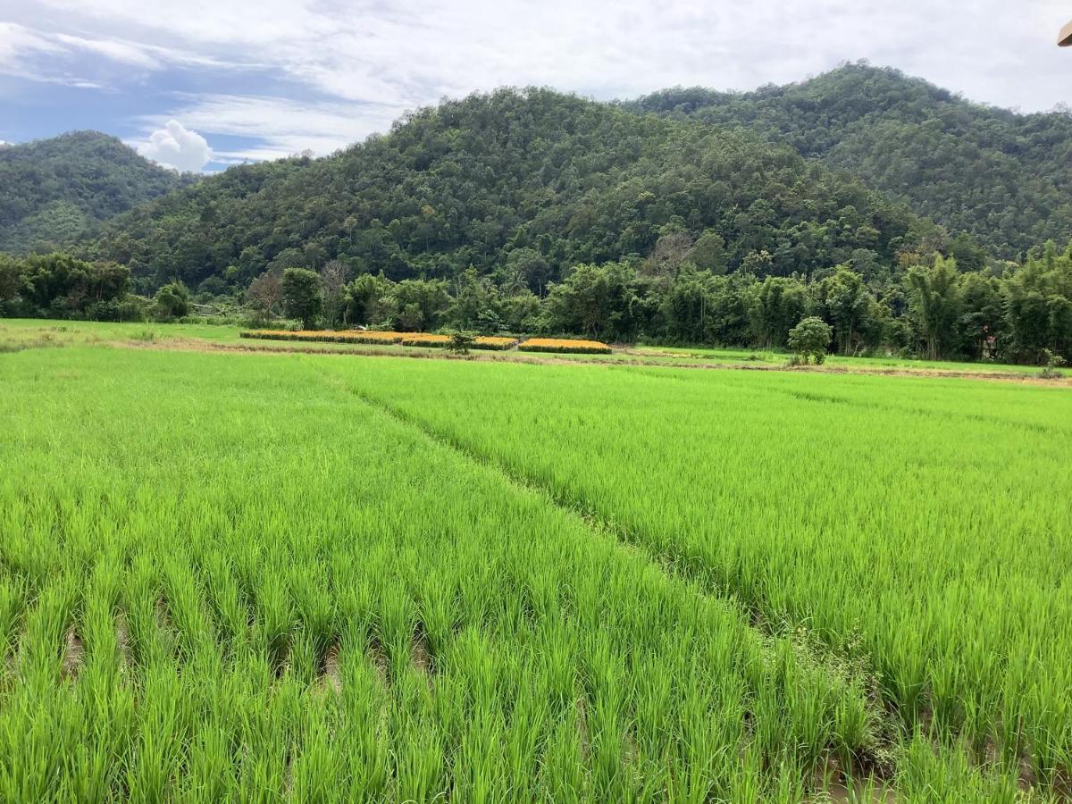 บ้านสวนวิวทุ่ง Ban Mae Sap Nua Bagian luar foto