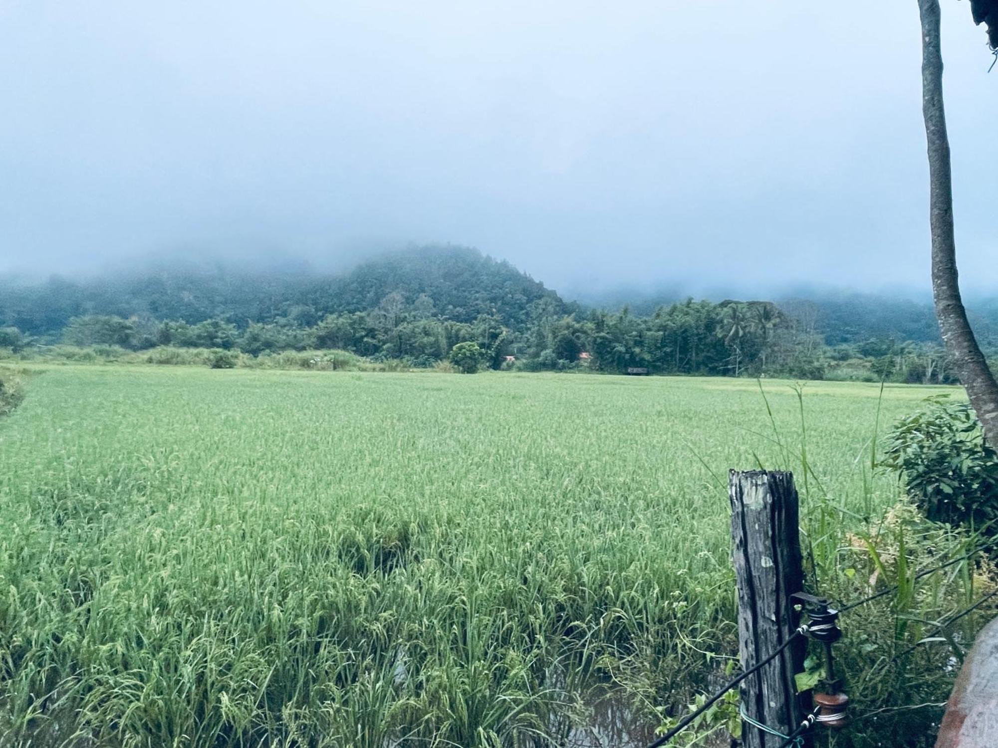 บ้านสวนวิวทุ่ง Ban Mae Sap Nua Bagian luar foto