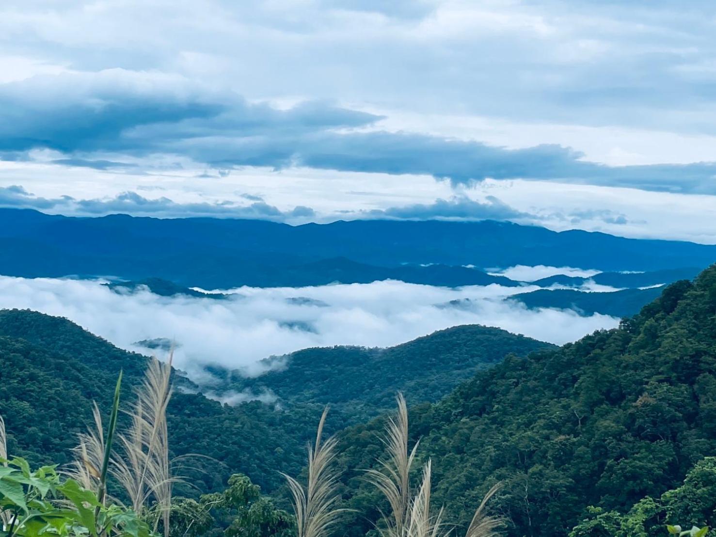 บ้านสวนวิวทุ่ง Ban Mae Sap Nua Bagian luar foto