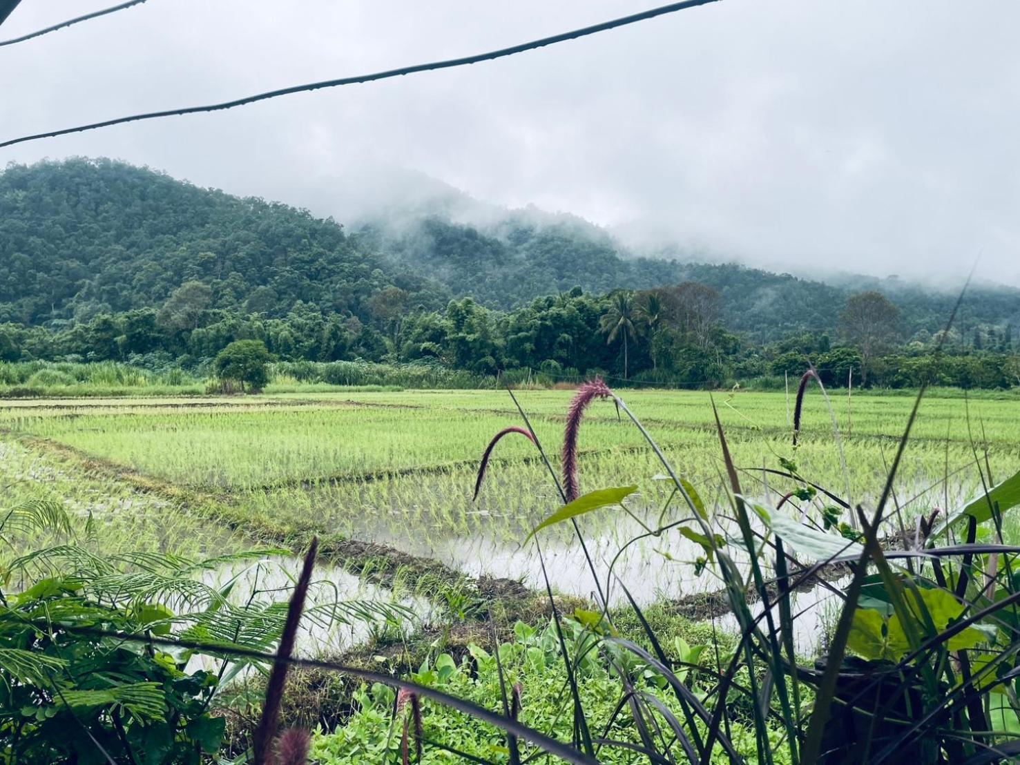 บ้านสวนวิวทุ่ง Ban Mae Sap Nua Bagian luar foto