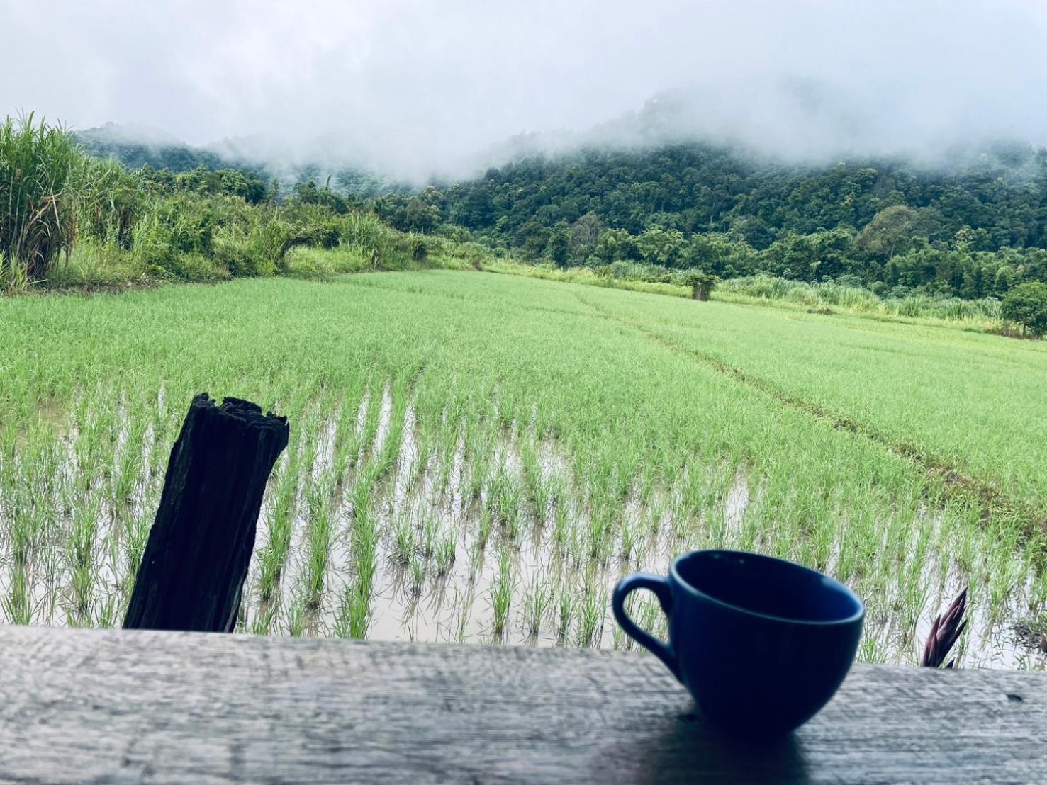 บ้านสวนวิวทุ่ง Ban Mae Sap Nua Bagian luar foto