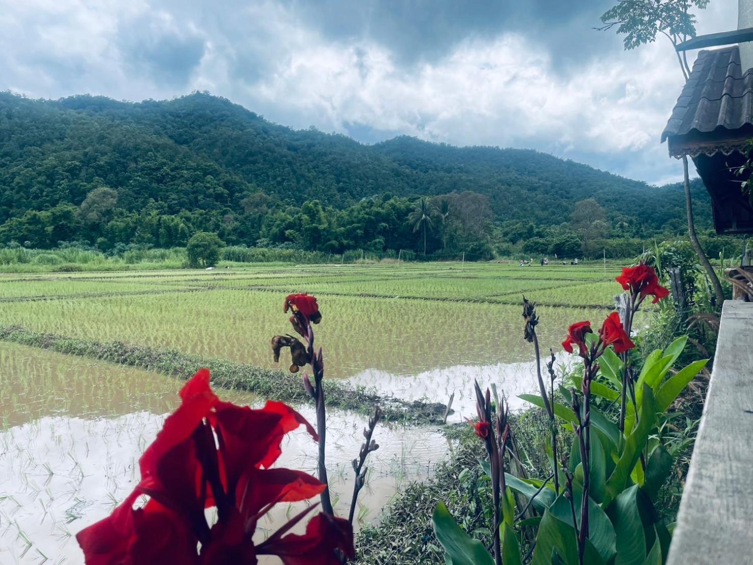 บ้านสวนวิวทุ่ง Ban Mae Sap Nua Bagian luar foto