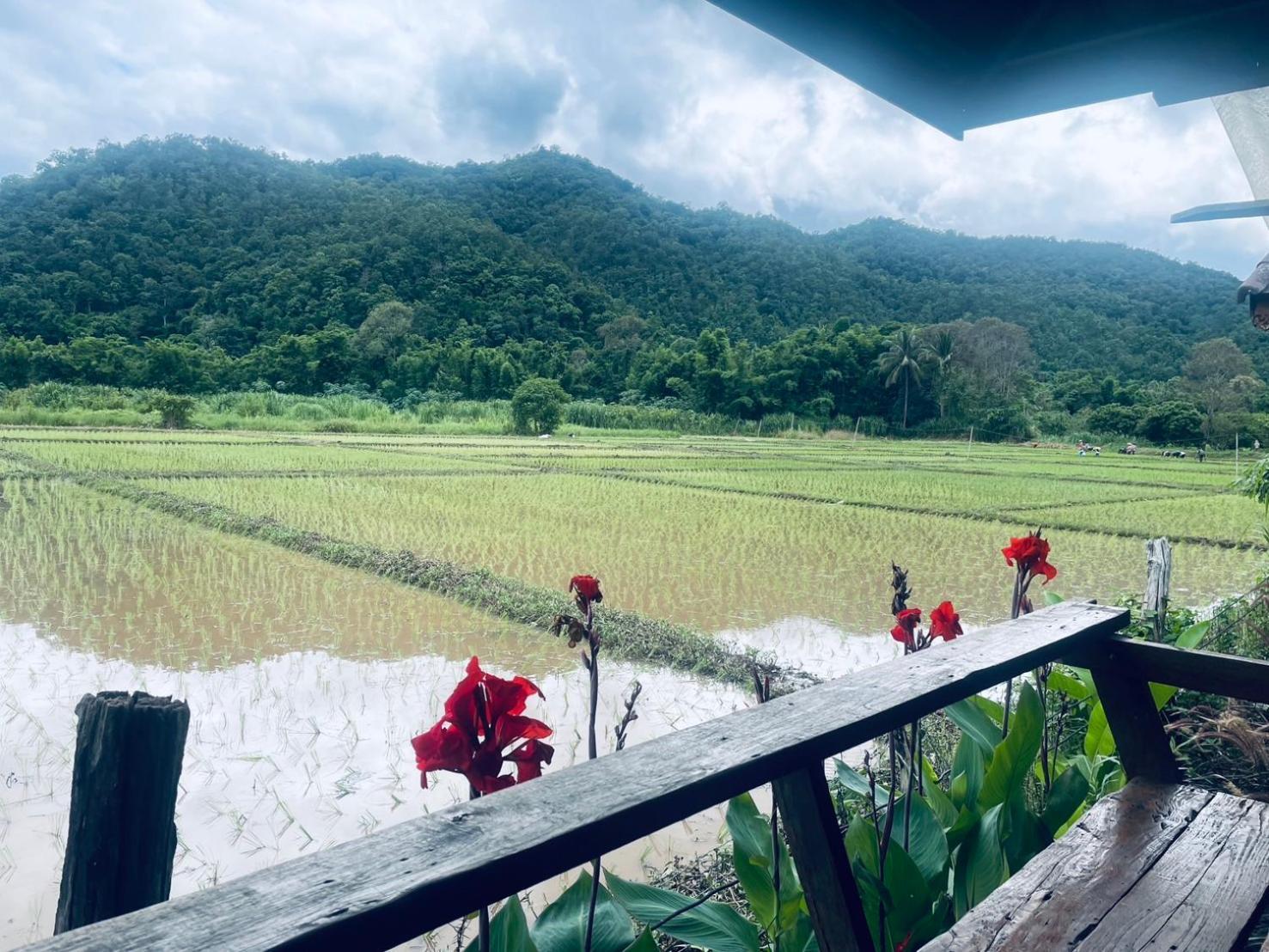 บ้านสวนวิวทุ่ง Ban Mae Sap Nua Bagian luar foto