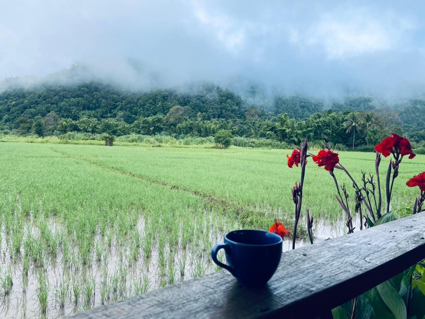 บ้านสวนวิวทุ่ง Ban Mae Sap Nua Bagian luar foto