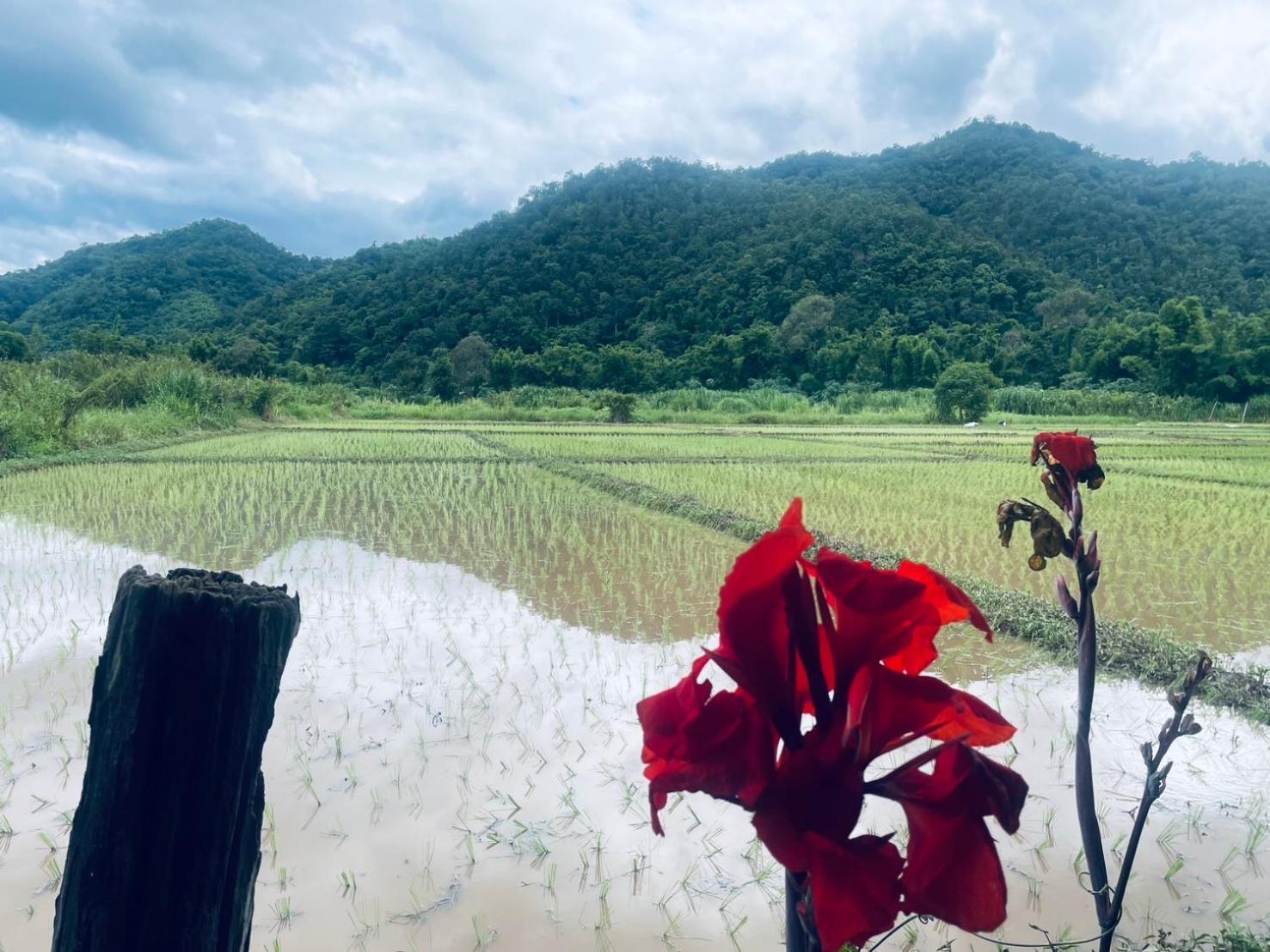 บ้านสวนวิวทุ่ง Ban Mae Sap Nua Bagian luar foto