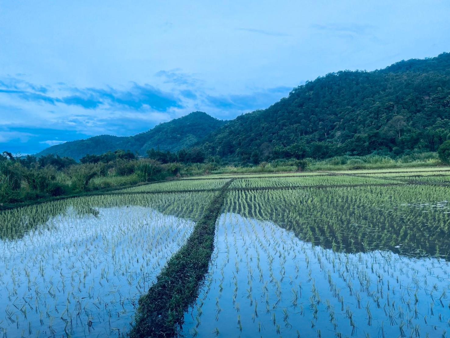 บ้านสวนวิวทุ่ง Ban Mae Sap Nua Bagian luar foto