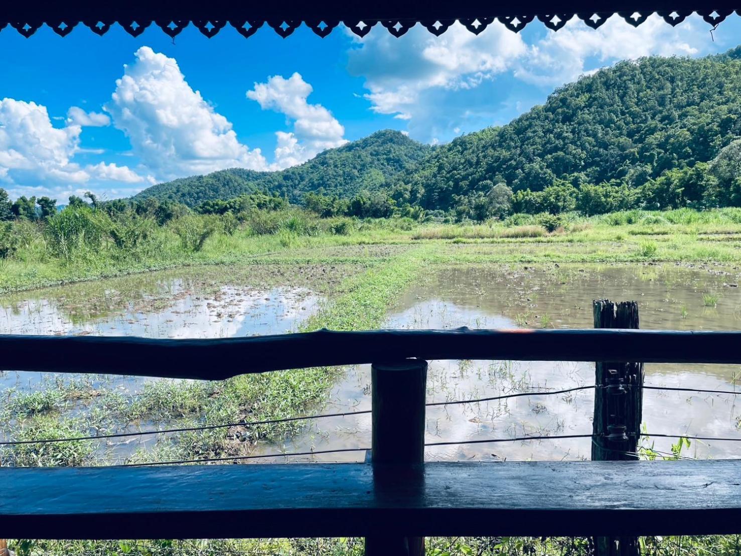 บ้านสวนวิวทุ่ง Ban Mae Sap Nua Bagian luar foto