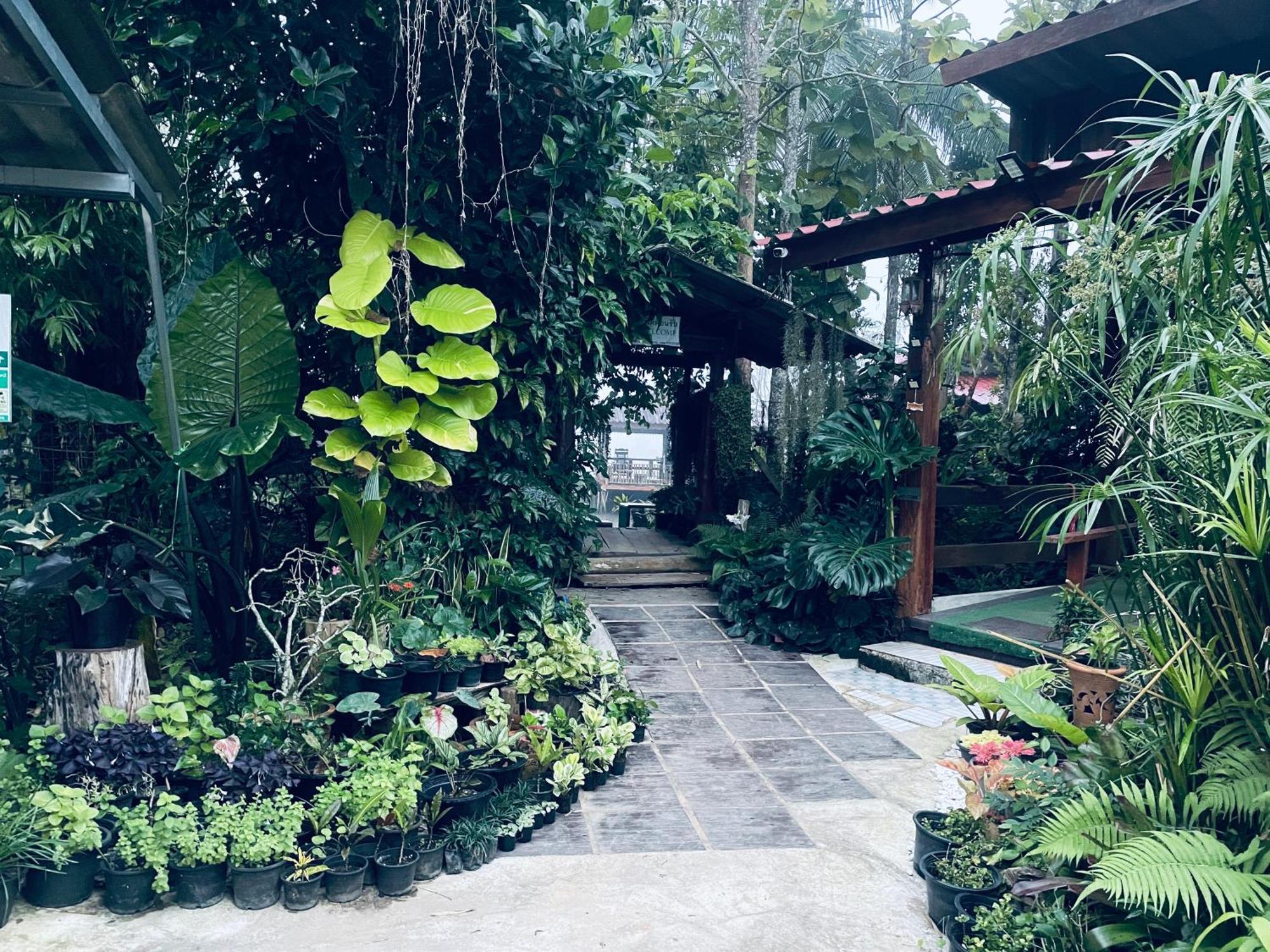 บ้านสวนวิวทุ่ง Ban Mae Sap Nua Bagian luar foto