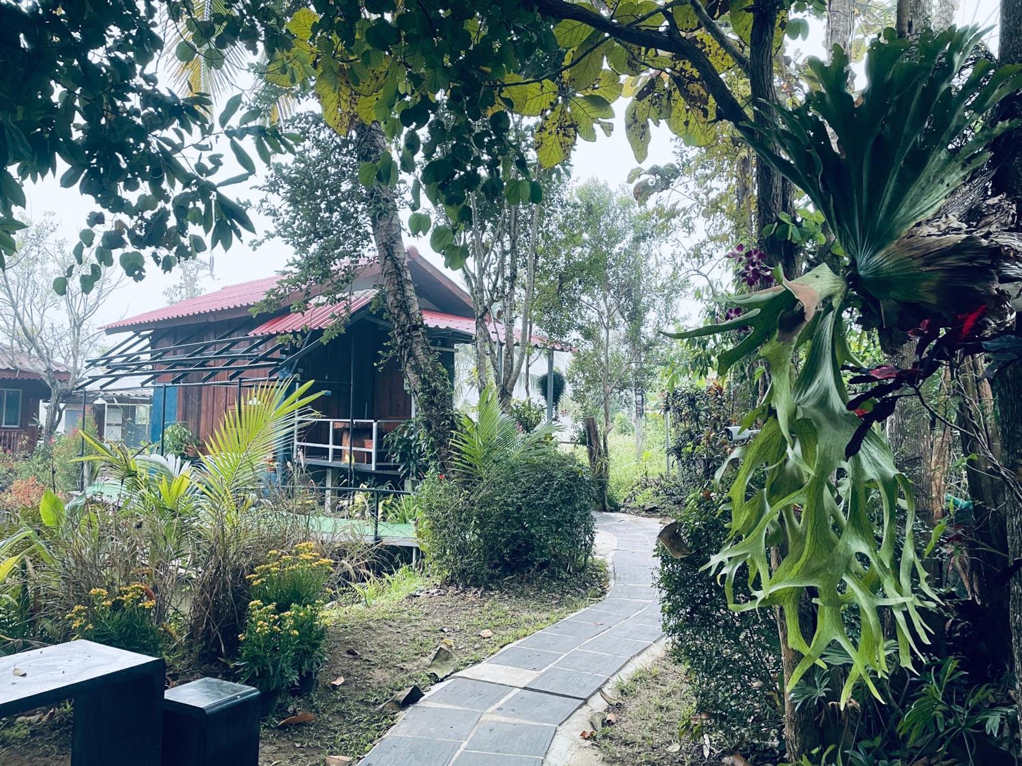 บ้านสวนวิวทุ่ง Ban Mae Sap Nua Bagian luar foto